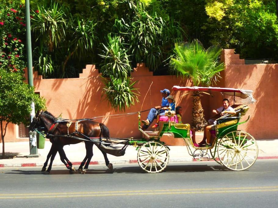 Апартаменты Luxury Refuge - Marrakech Centre Марракеш Экстерьер фото